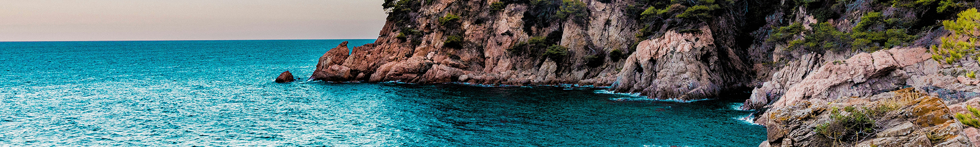Blog banner Image